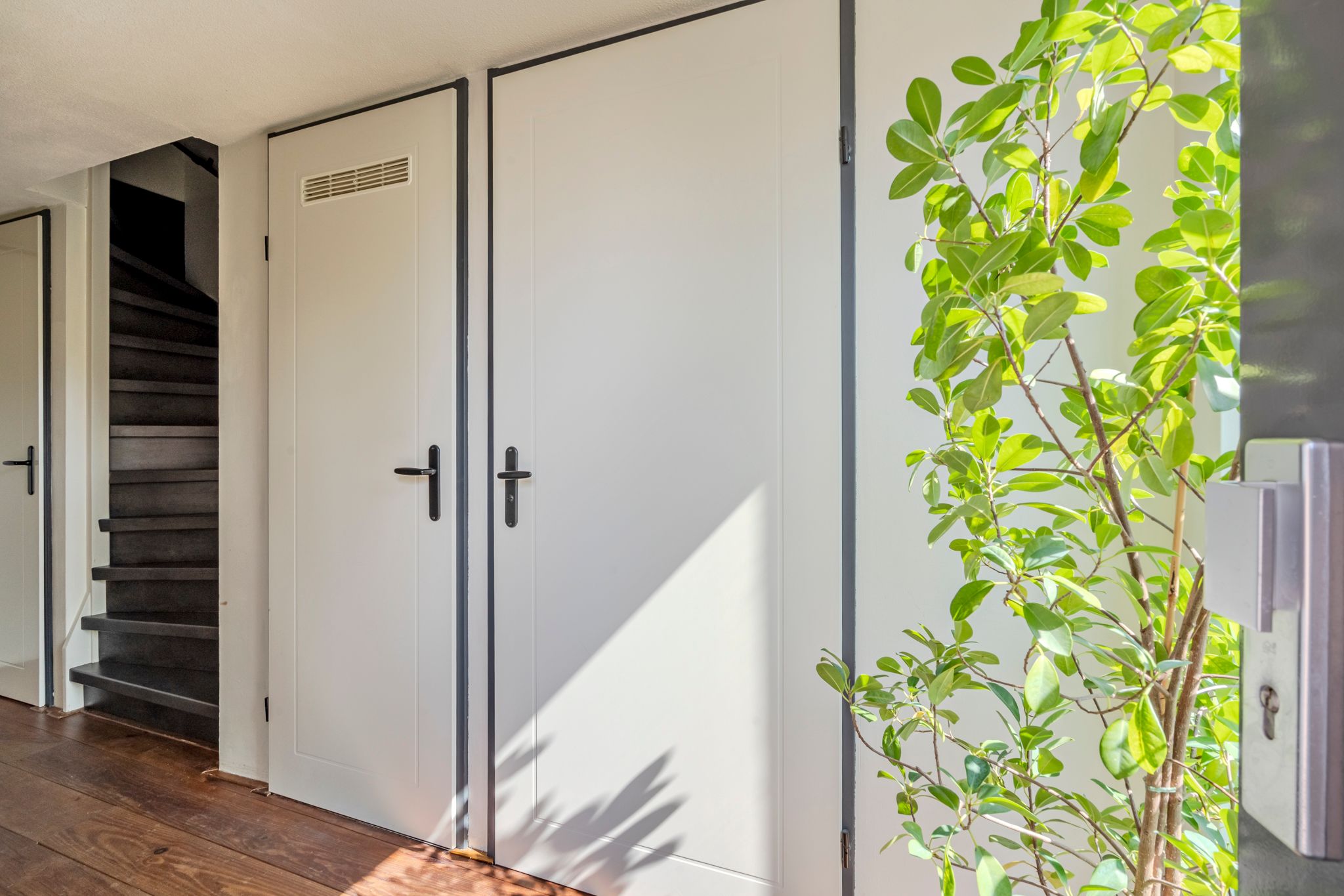 Foto 12 van Virgo 36