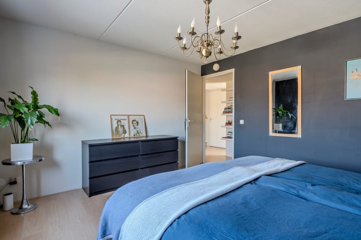 Foto 32 van Virgo 36