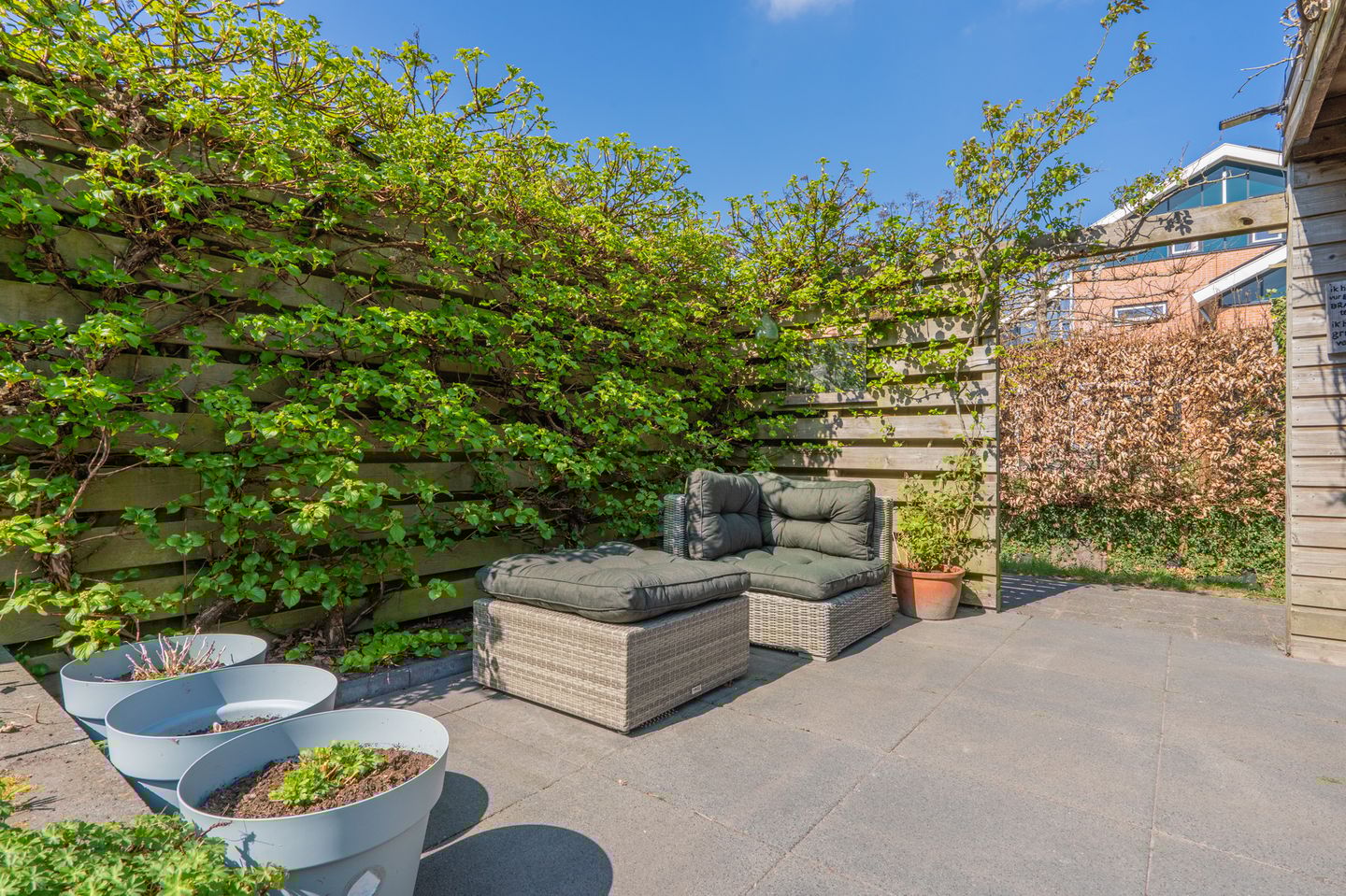 Foto 44 van Virgo 36