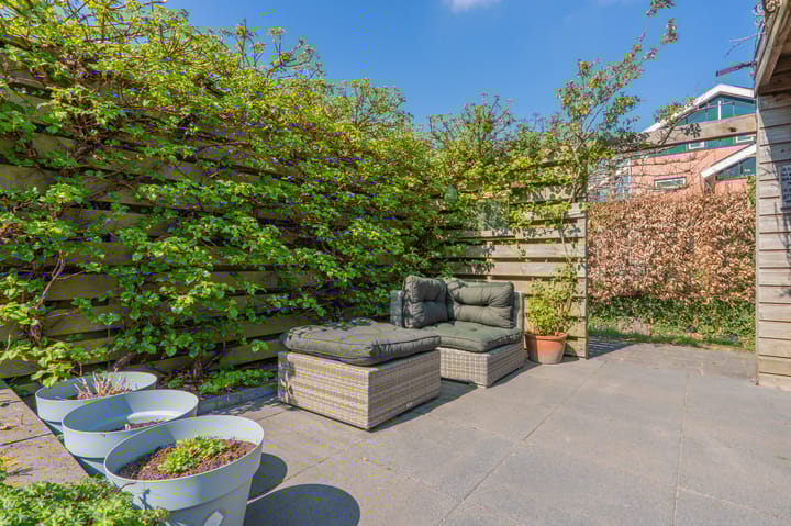 Foto 44 van Virgo 36