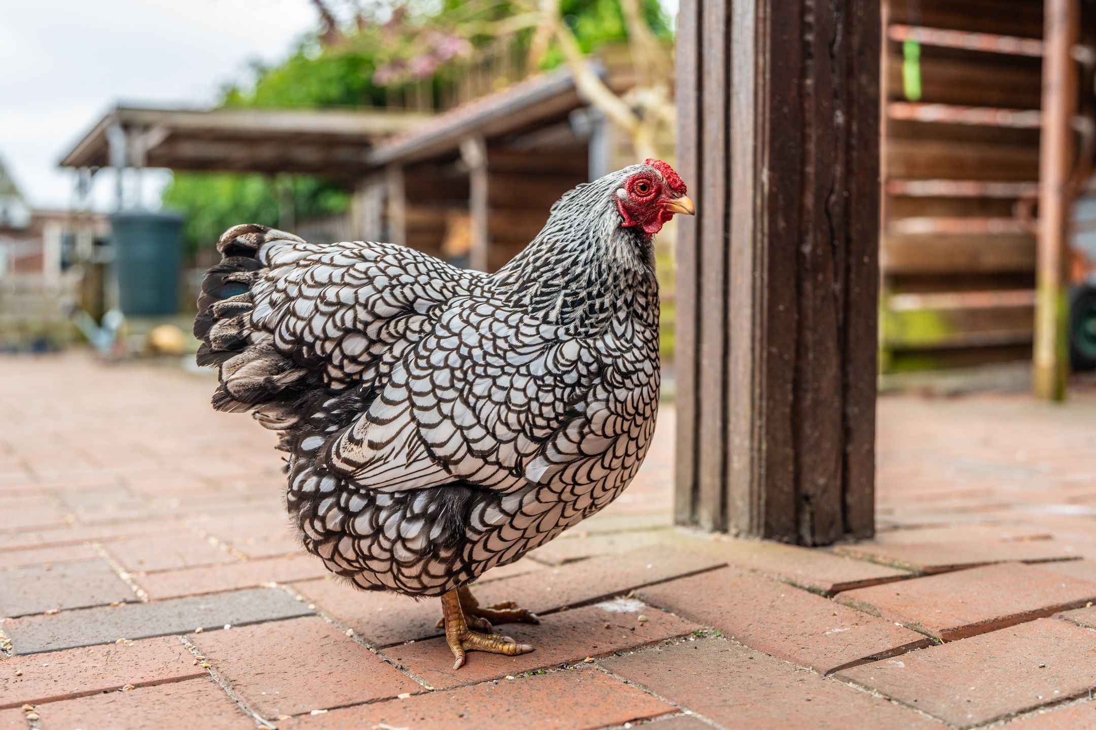 Foto 42 van Heresstraat 7