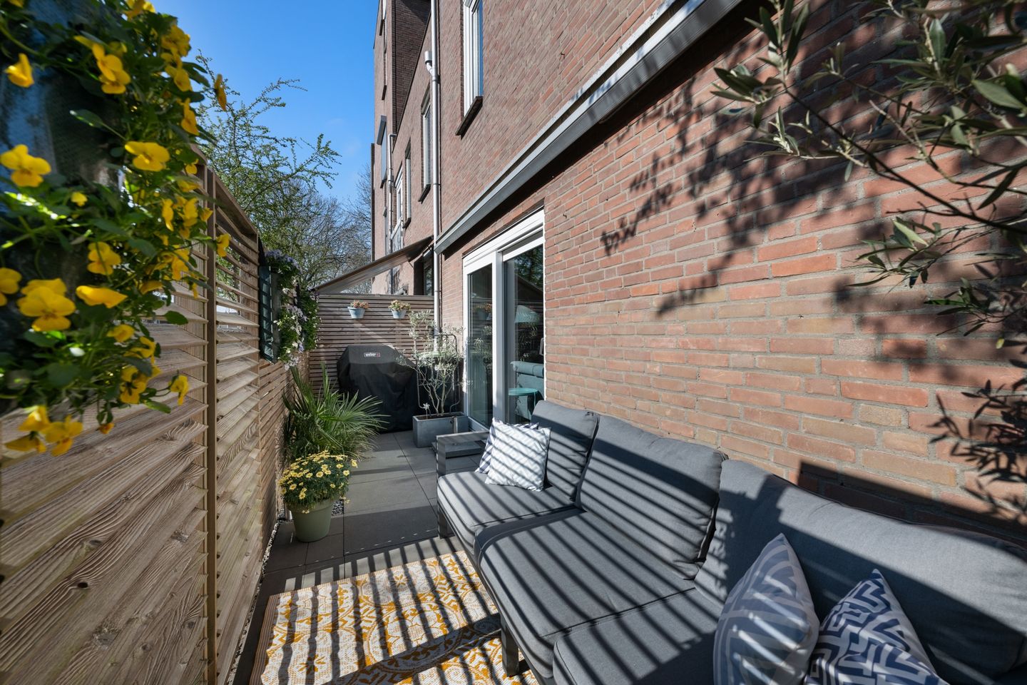 Photo 19 of Goudmos 112