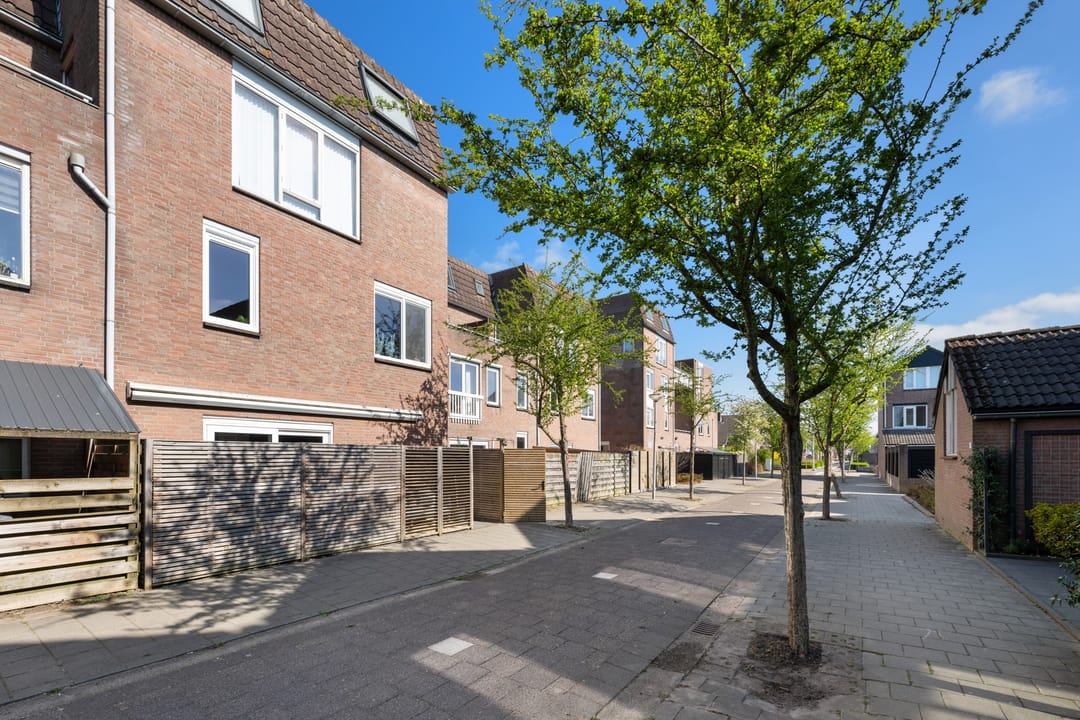 Photo 23 of Goudmos 112