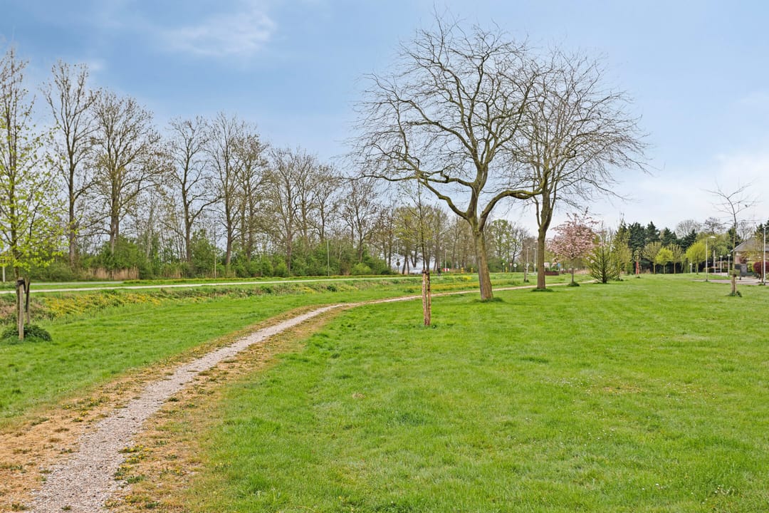 Photo 53 of Torenvalk 26