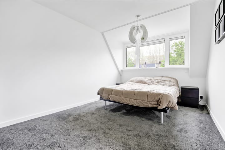 Foto 18 van Prinsendam 27