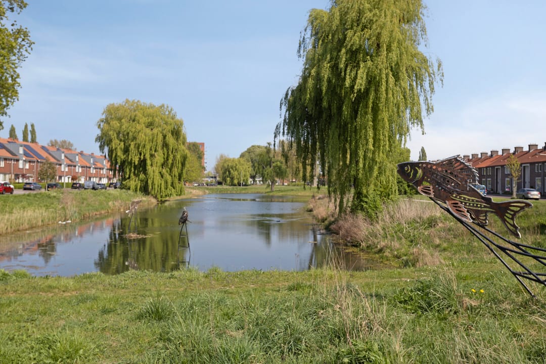 Photo 28 of Forelstraat 62