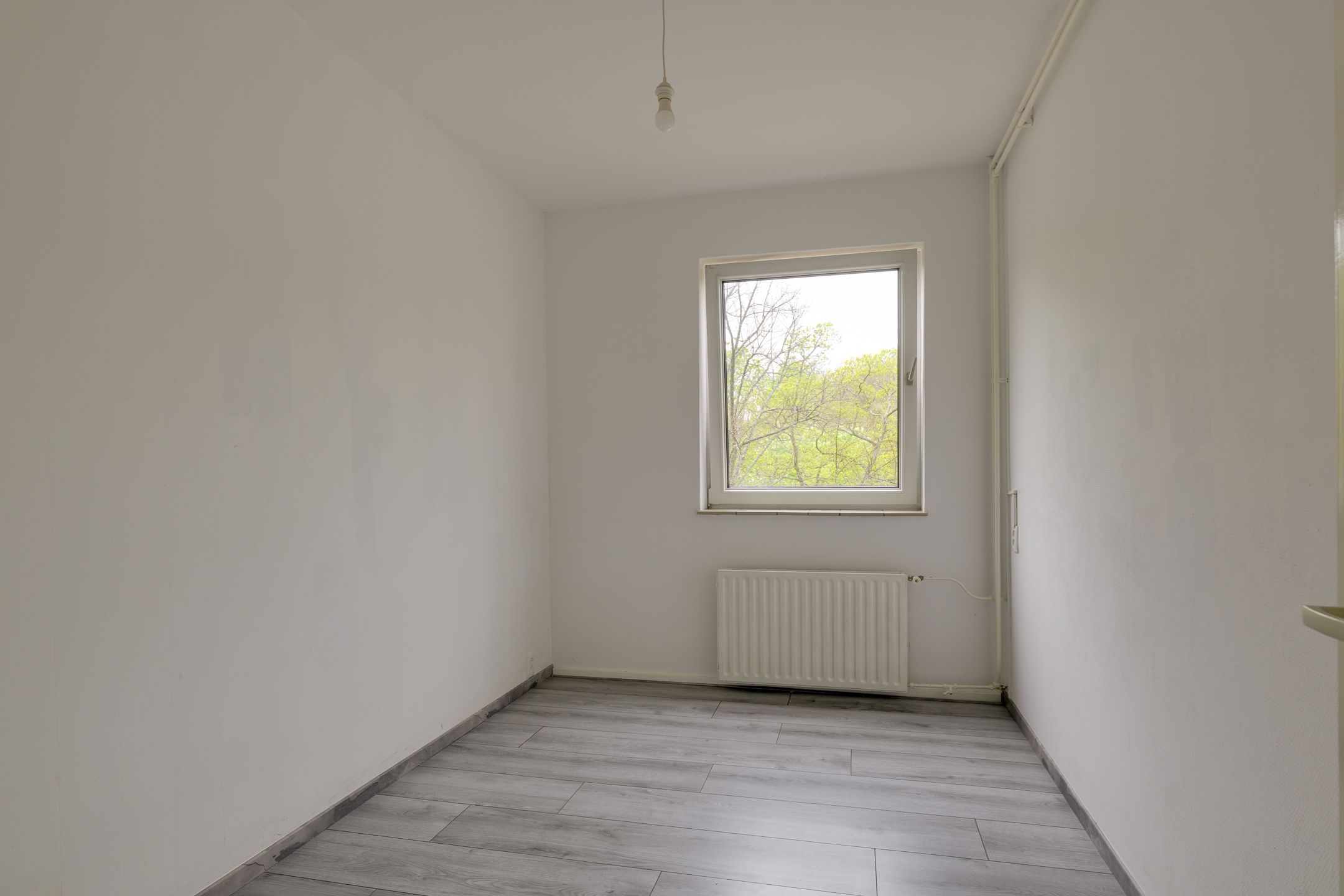 Photo 9 of Burgemeester Elsenlaan 117