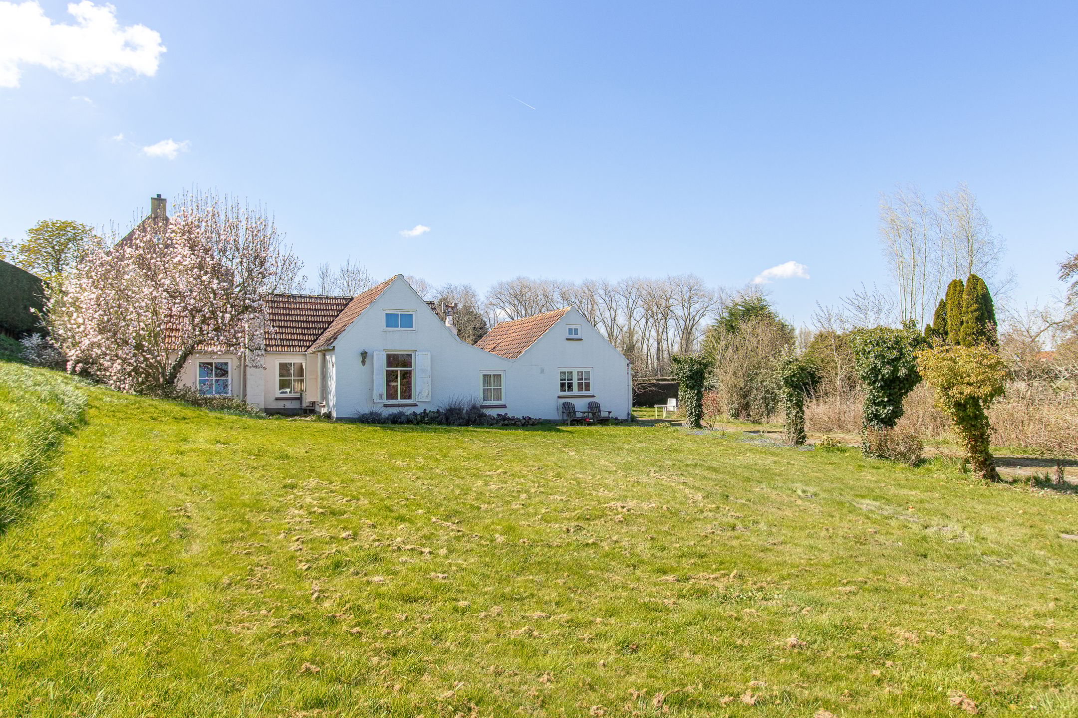 Photo 33 of Maasdijk 15