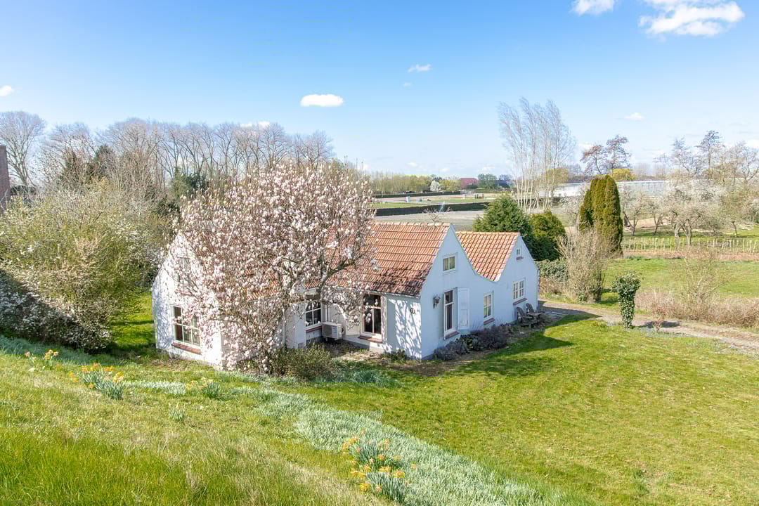 Photo 38 of Maasdijk 15