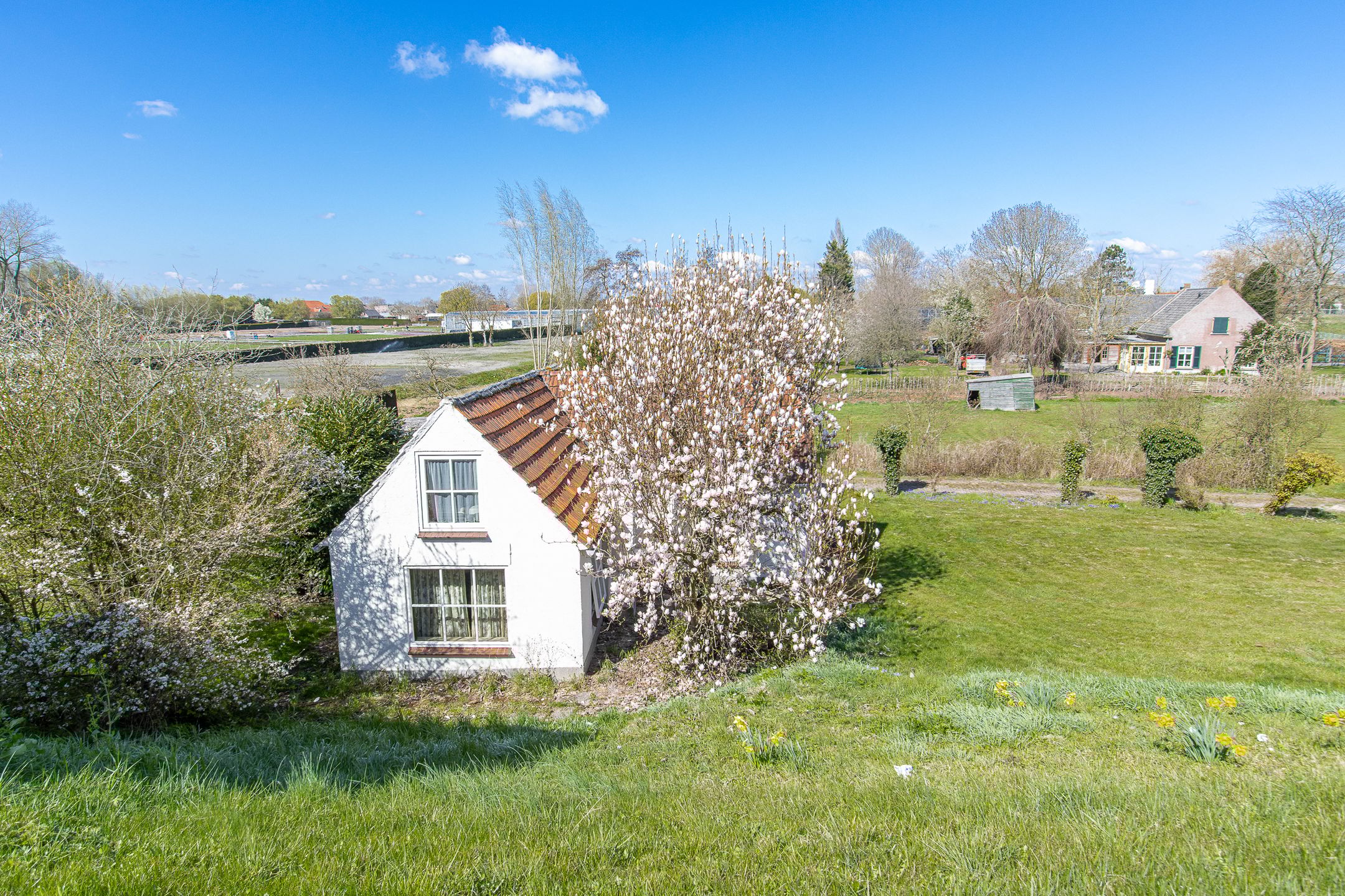 Photo 39 of Maasdijk 15