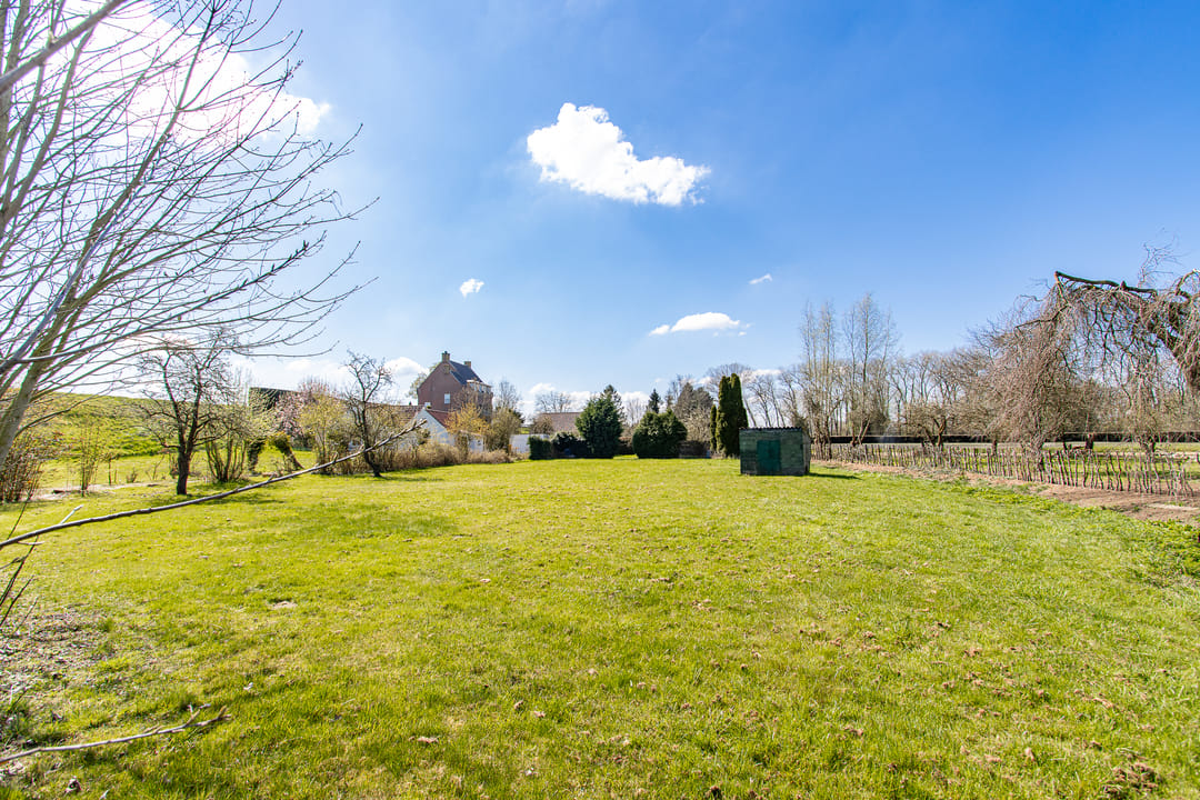 Photo 43 of Maasdijk 15