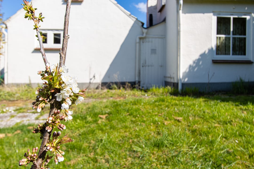 Photo 46 of Maasdijk 15