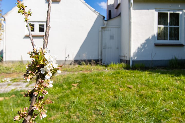 Foto 46 van Maasdijk 15