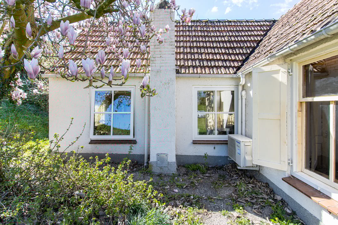 Photo 47 of Maasdijk 15