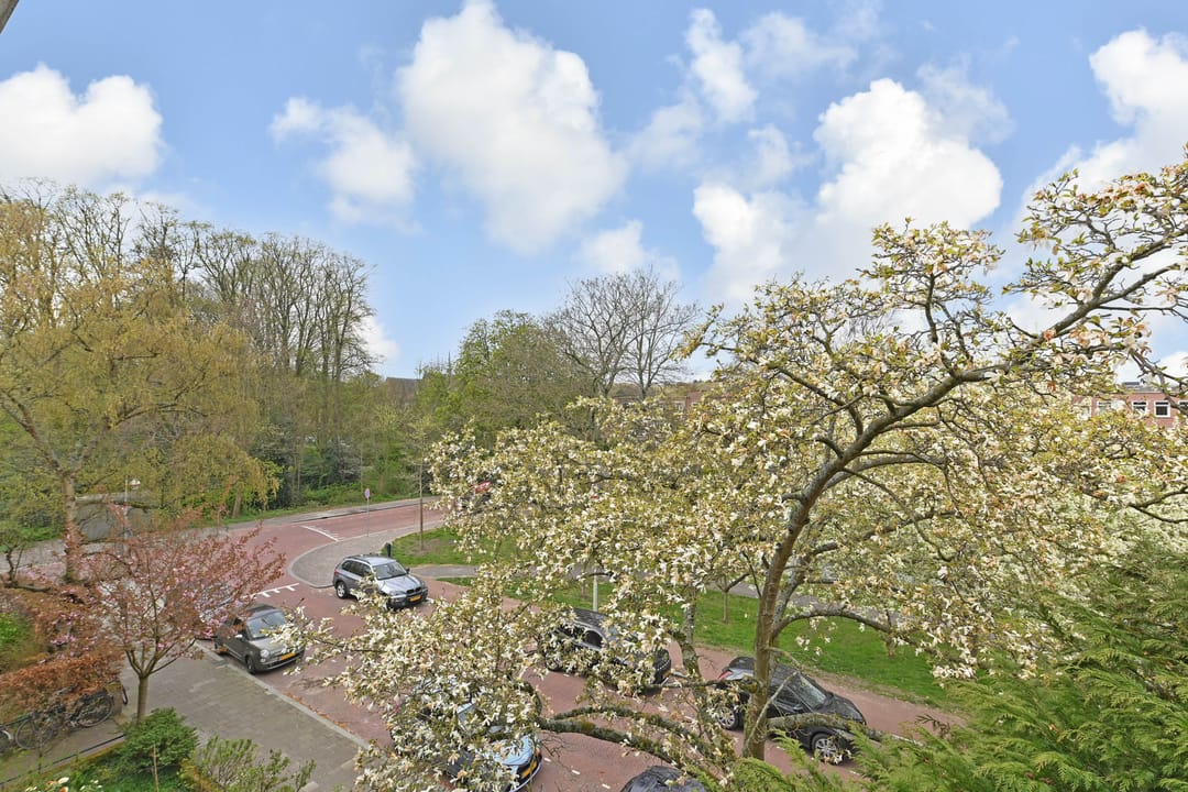 Foto 28 van Ridderlaan 19