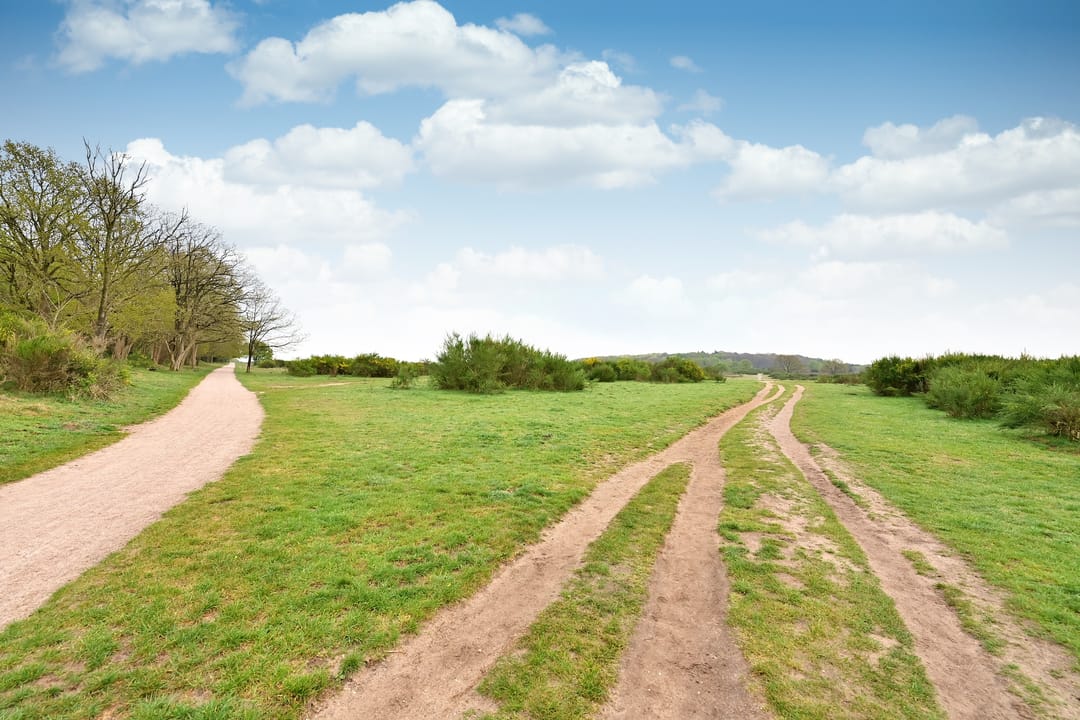 Foto 13 van Kolhornseweg 44