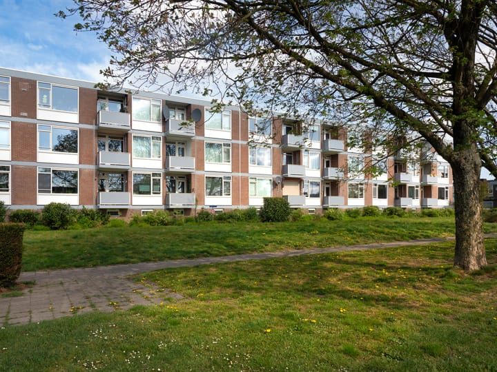 Foto 1 van Domela Nieuwenhuisstraat 31