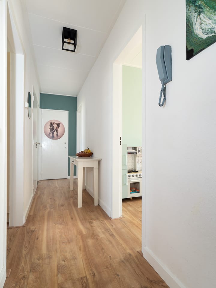 Foto 11 van Domela Nieuwenhuisstraat 31