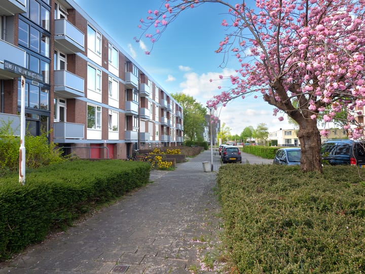 Foto 17 van Domela Nieuwenhuisstraat 31