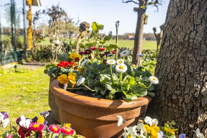 Foto 26 van Oostelvoortjes 26