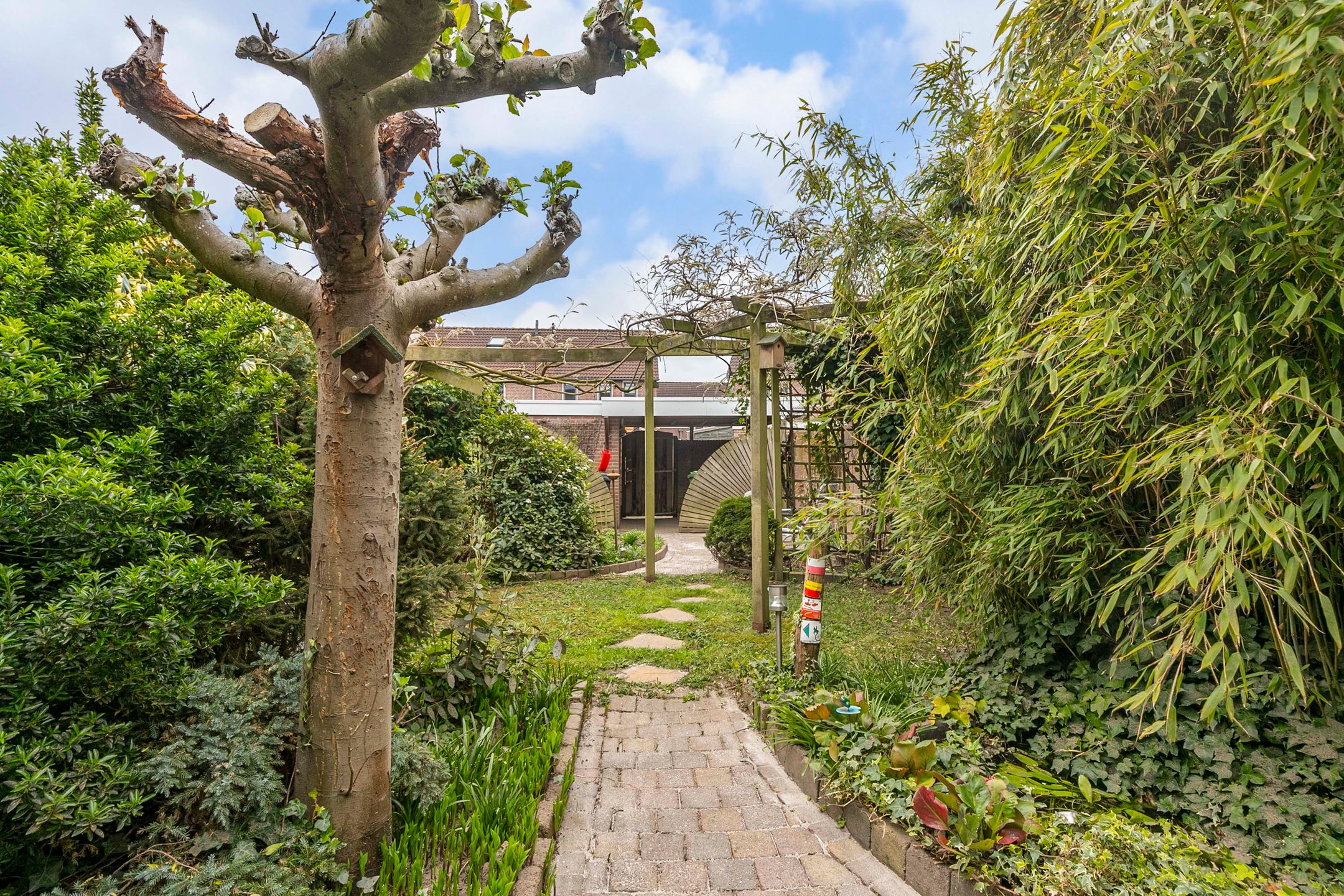 Foto 3 van Gravekamp 119