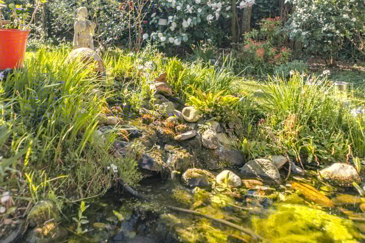 Foto 37 van Oostelvoortjes 26