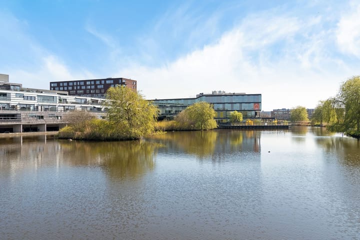 Foto 4 van Belvédèrelaan 303