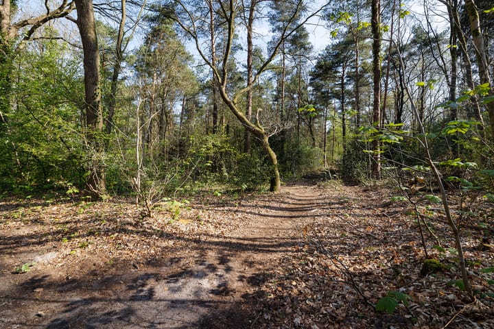 Photo 3 of Valtherlaan 204