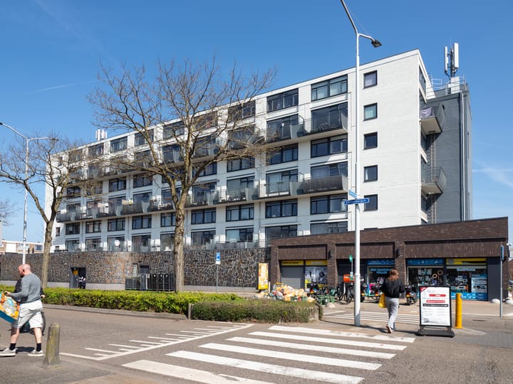 Foto 1 van Treubstraat 126