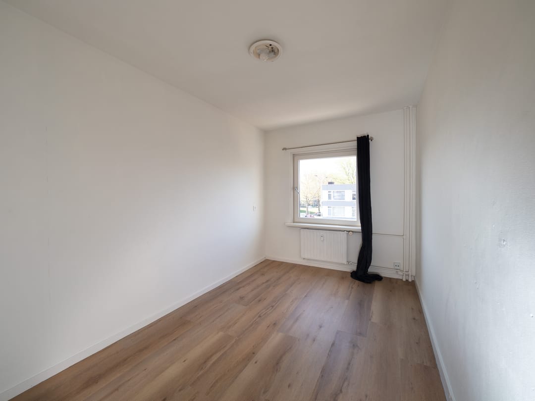 Foto 13 van Treubstraat 126