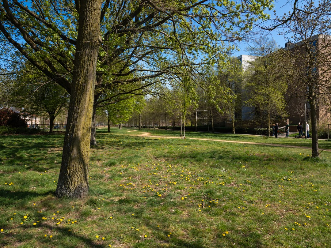 Foto 22 van Treubstraat 126