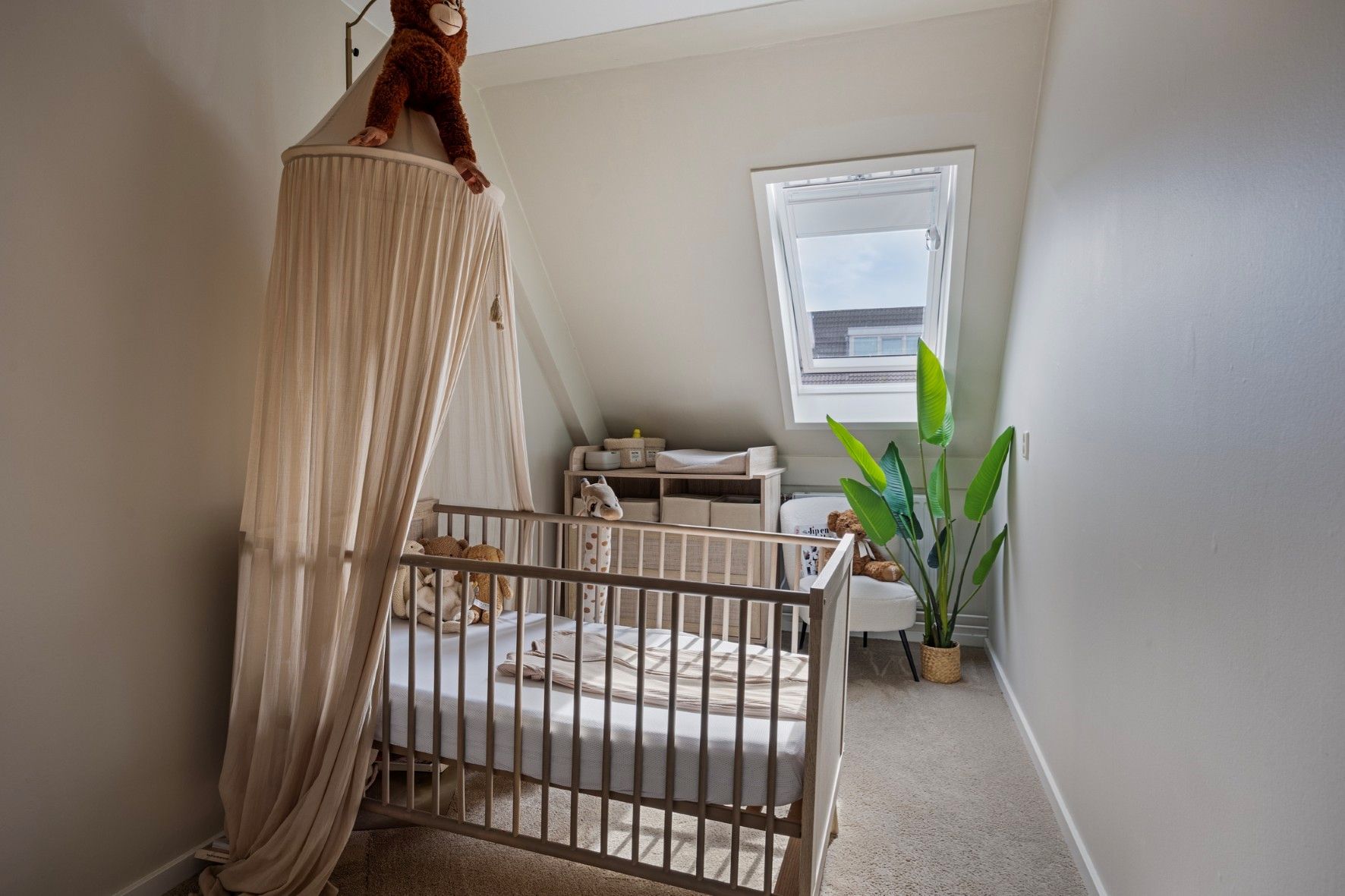 Foto 24 van Meropestraat 24