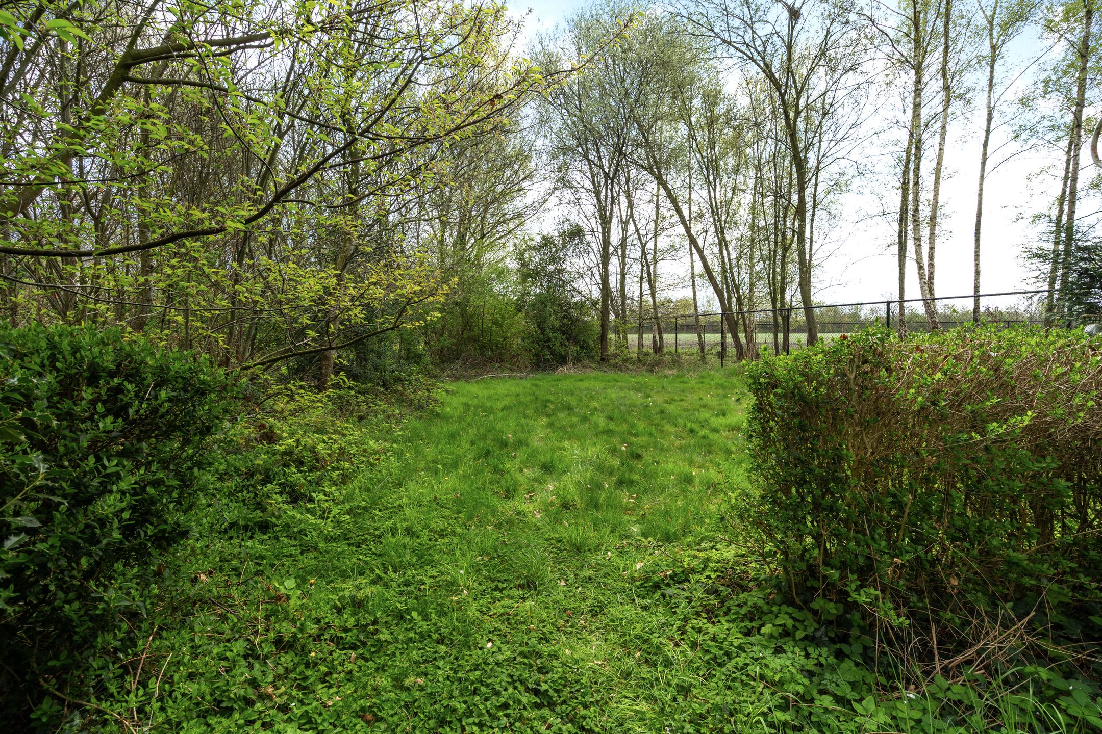 Foto 45 van Anneville-laan 156