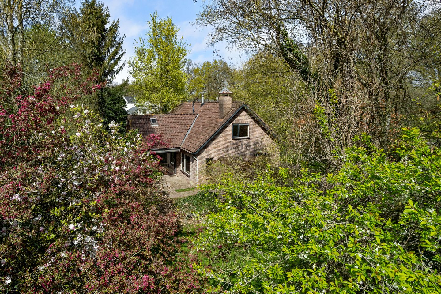 Foto 55 van Anneville-laan 156