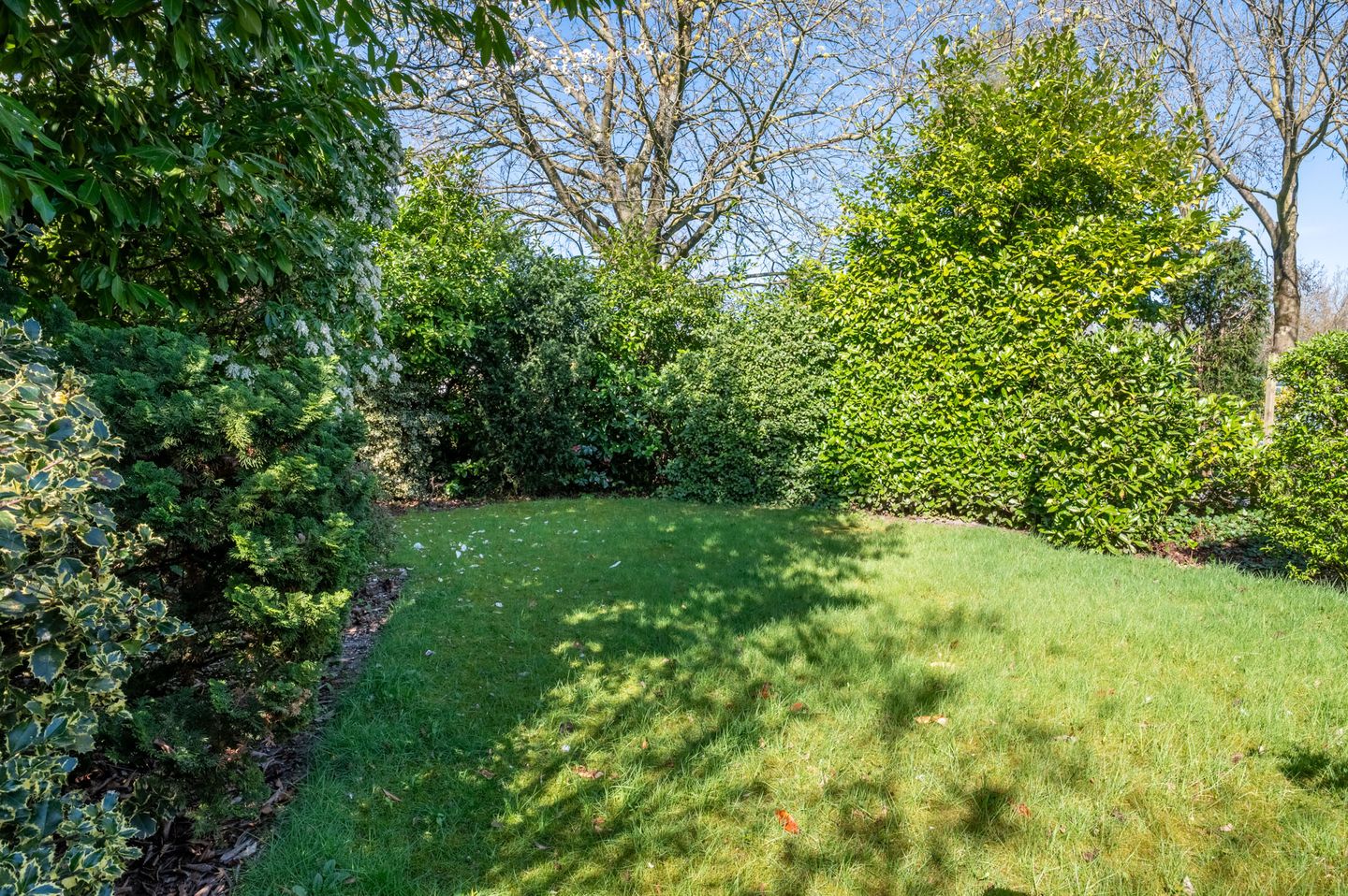 Foto 20 van Vlierlaan 74