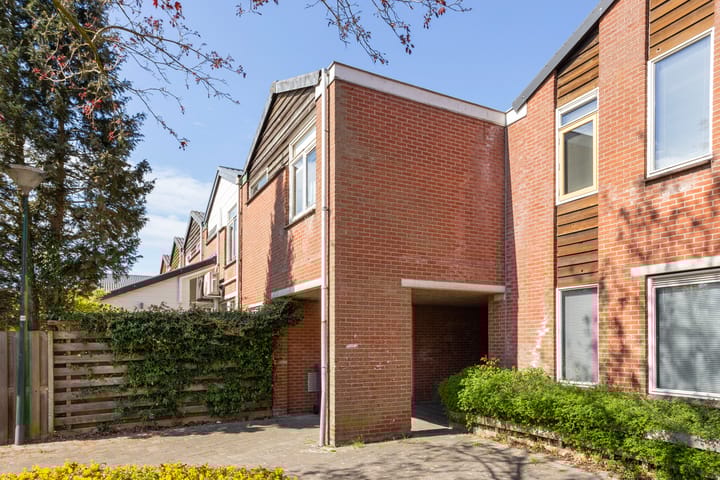 Foto 2 van Zebraspoor 763