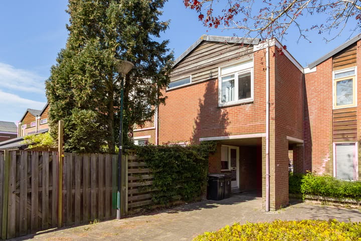 Foto 33 van Zebraspoor 763