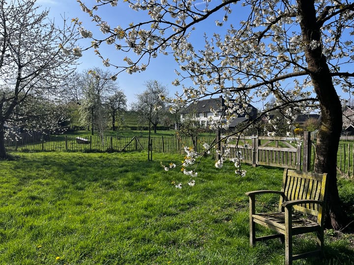 Foto 86 van Pluimenburgsestraat 4