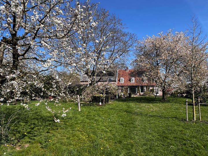 Foto 94 van Pluimenburgsestraat 4