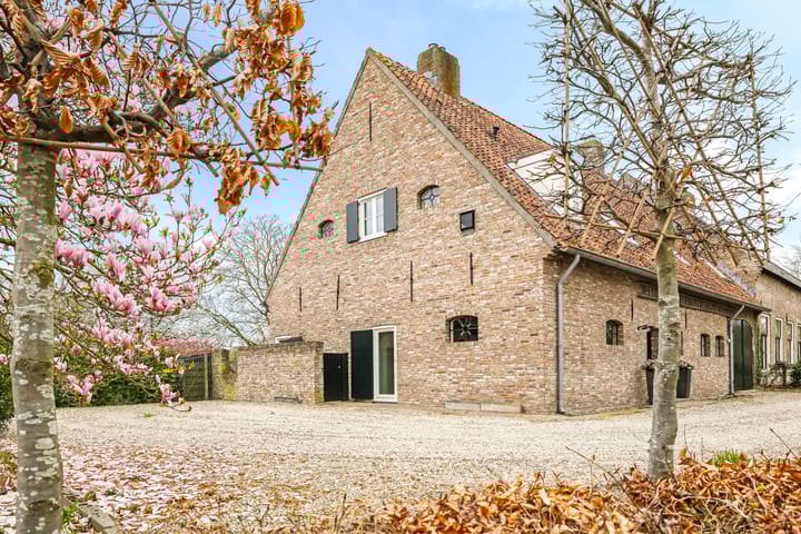 Foto 99 van Pluimenburgsestraat 4