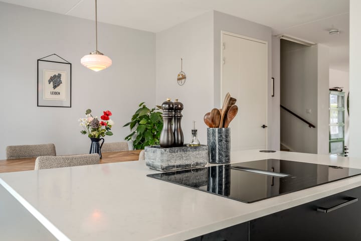 Foto 18 van Allium 9