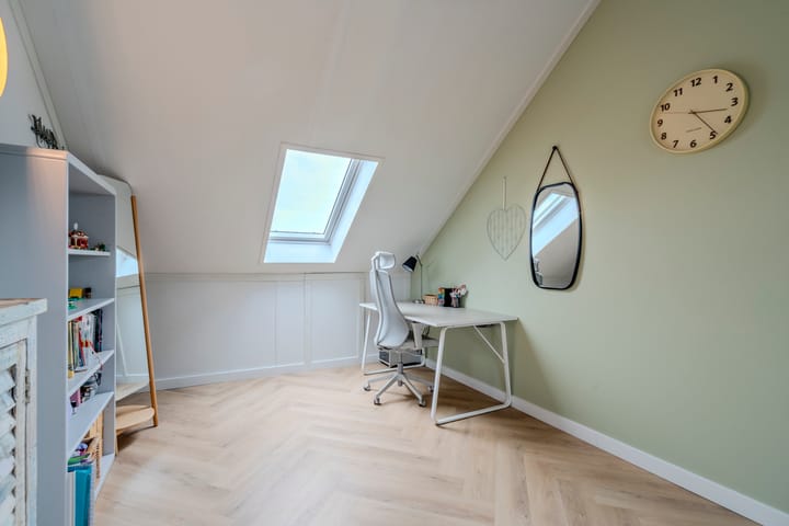 Foto 47 van Allium 9