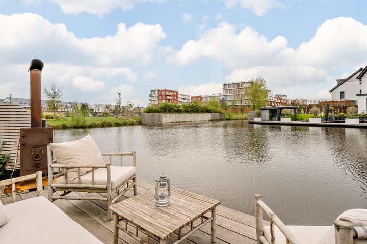 Foto 57 van Allium 9