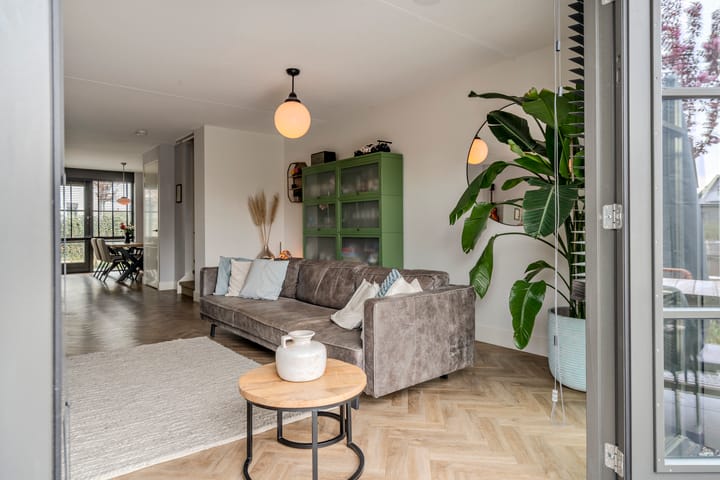 Foto 61 van Allium 9