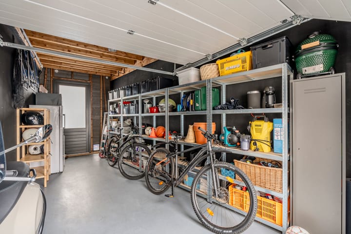 Foto 63 van Allium 9