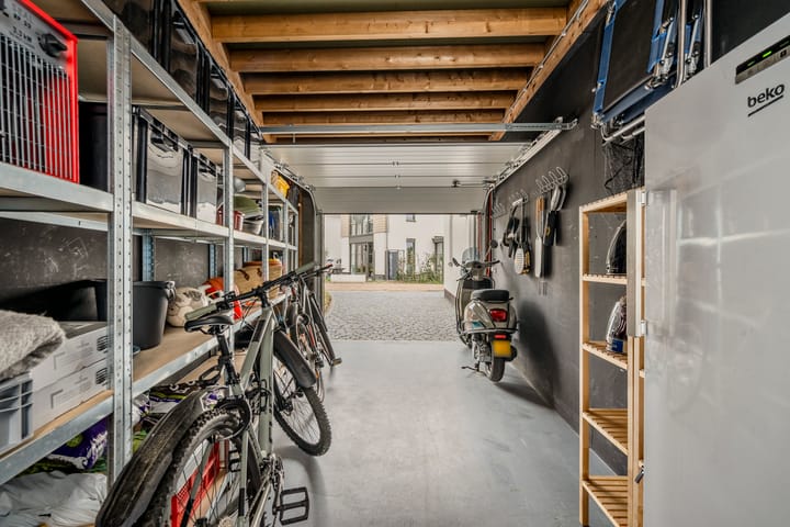 Foto 64 van Allium 9