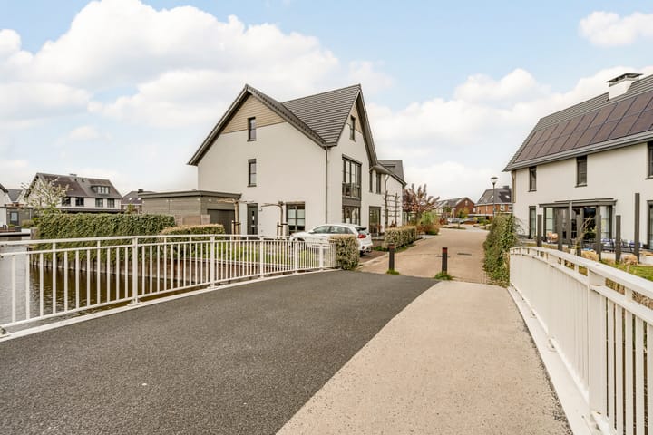 Foto 65 van Allium 9