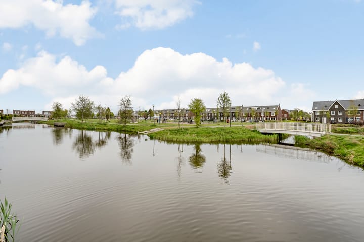 Foto 66 van Allium 9