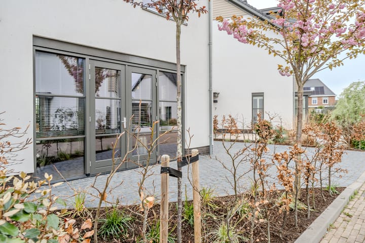 Foto 68 van Allium 9