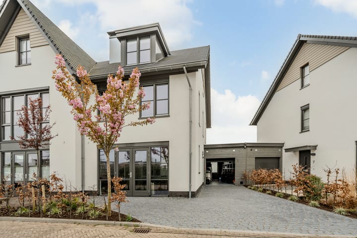 Foto 70 van Allium 9